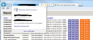 IE Security Report